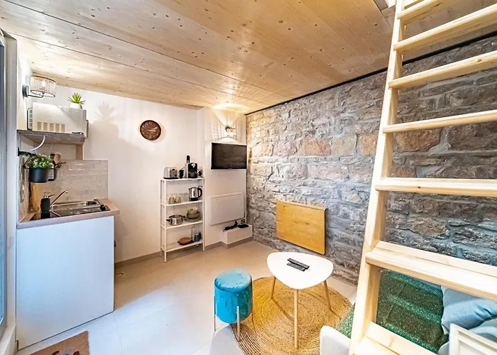 Le Petit Victor Hugo - Bellecour Appartement